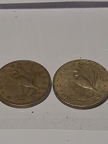 Forint 1995 1x 2004 - forint, /1x